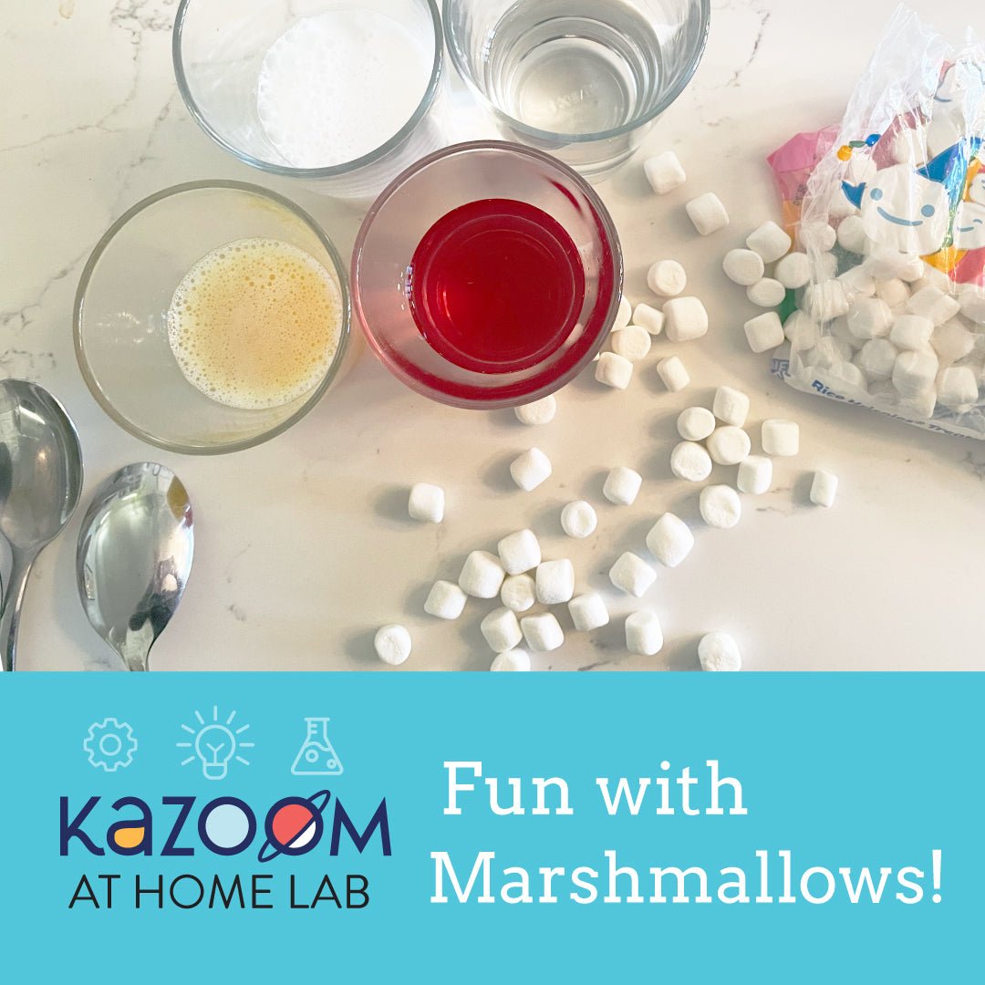 Fun with Marshmallows