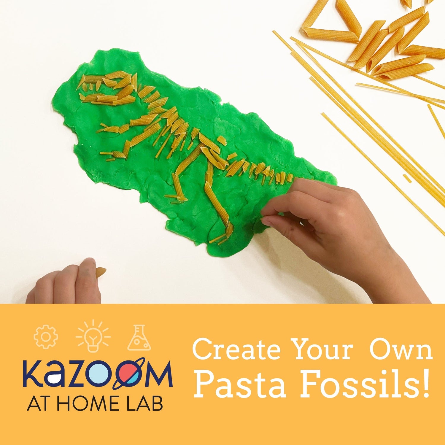 Create Your Own Pasta Fossils