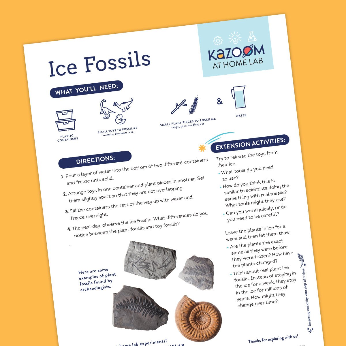 At Home Lab: Ice Fossils