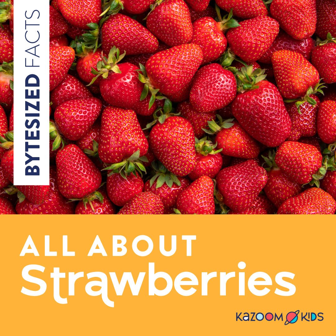 All About Strawberries