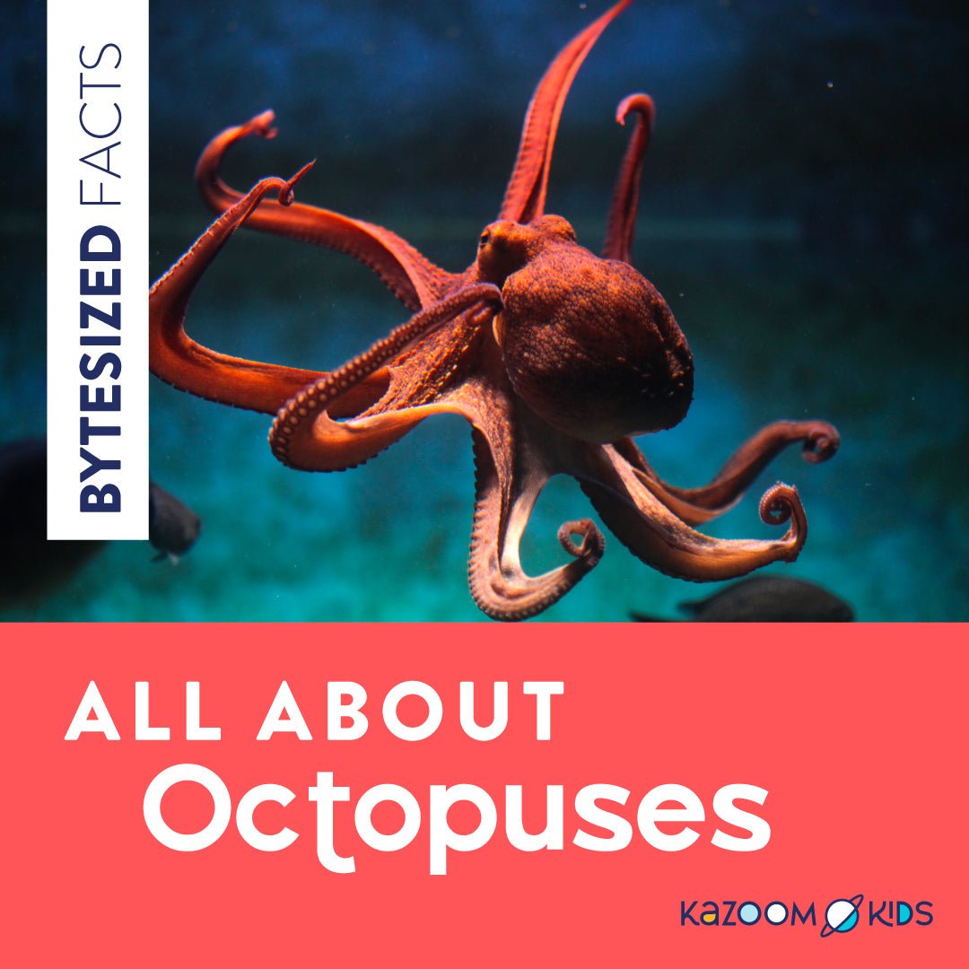 Octopuses