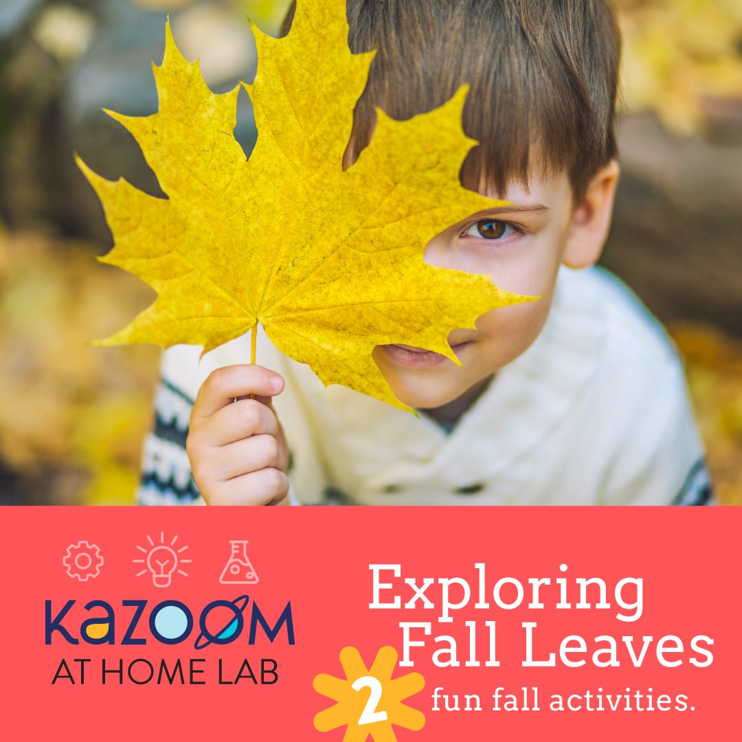 Exploring Fall Leaves
