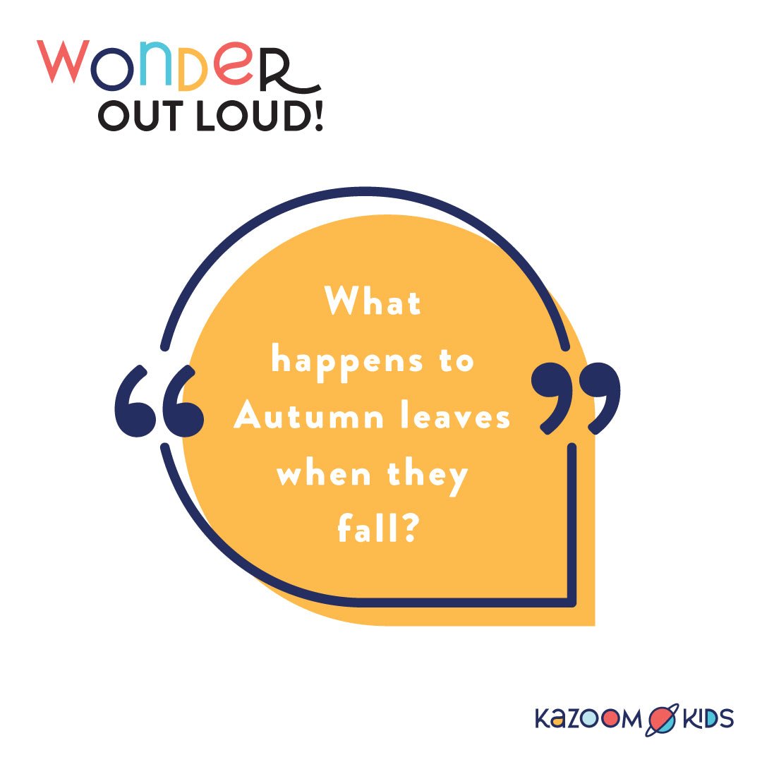 What happens to Autumn leaves when they fall?