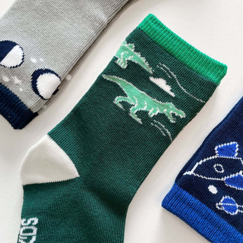 Toddler boy socks - Kids Dinosaur socks