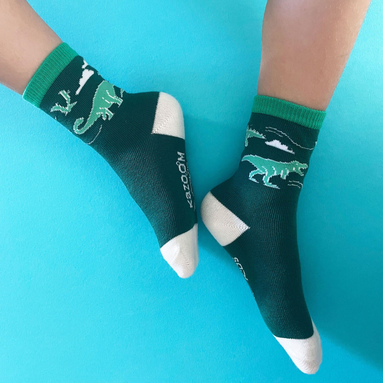 Trex kids socks - Youth Socks